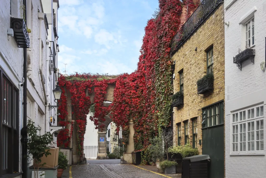 Kynance Mews 1.max 1920x1080 1