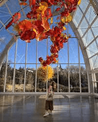 Chihuly Garden and Glass: A Kaleidoscope of Colors