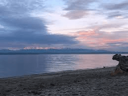 Golden Gardens: Beach Vibes in the City