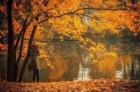 Why Fall Is the Best Season: Cozy, Colorful & Magical