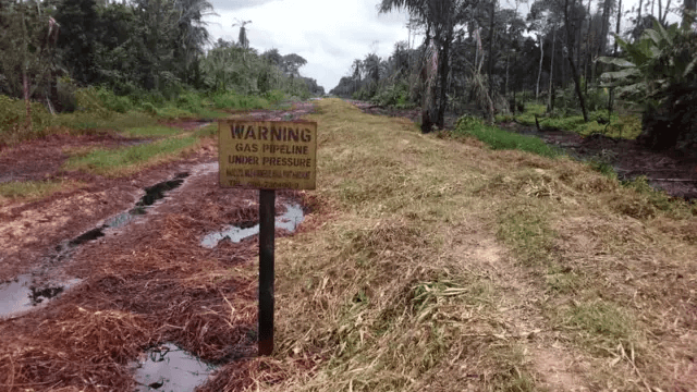 Rivers State: Port Harcourt’s Oil Pulse