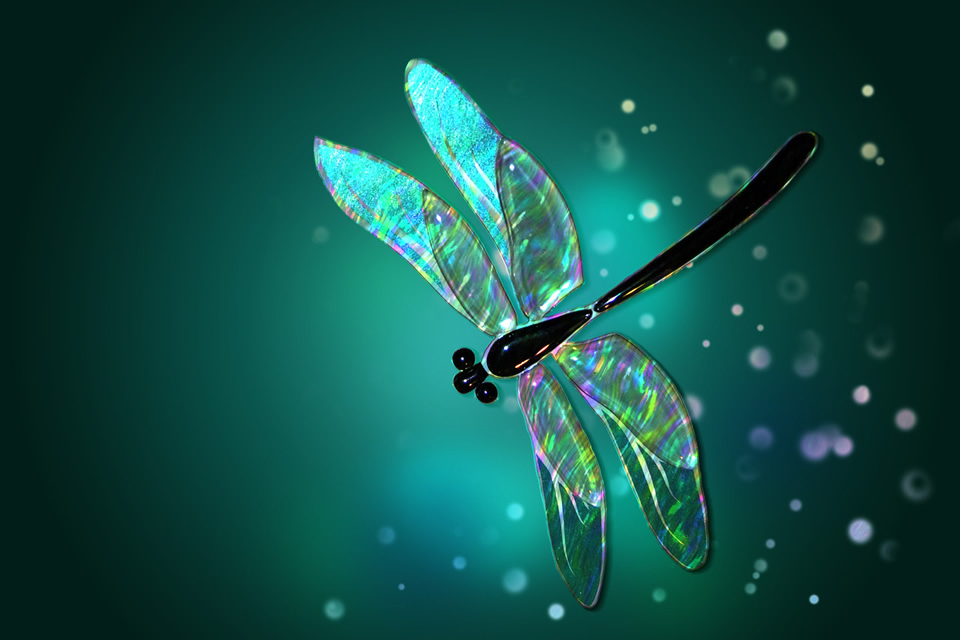 Dragonfly Meaning – Symbol of Change & Transformation